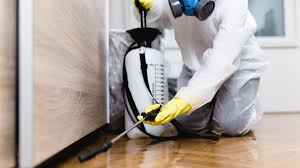 Best Pest Prevention Services  in Kingston, NY